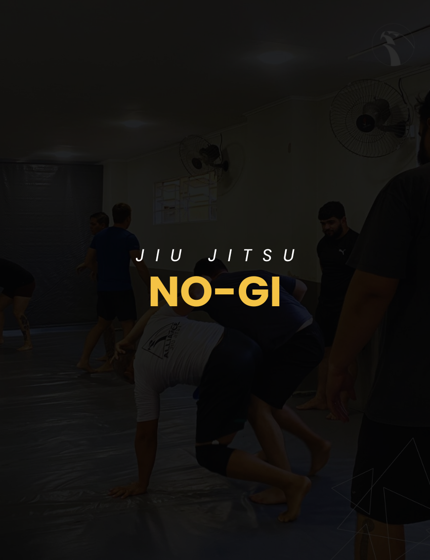 nogi